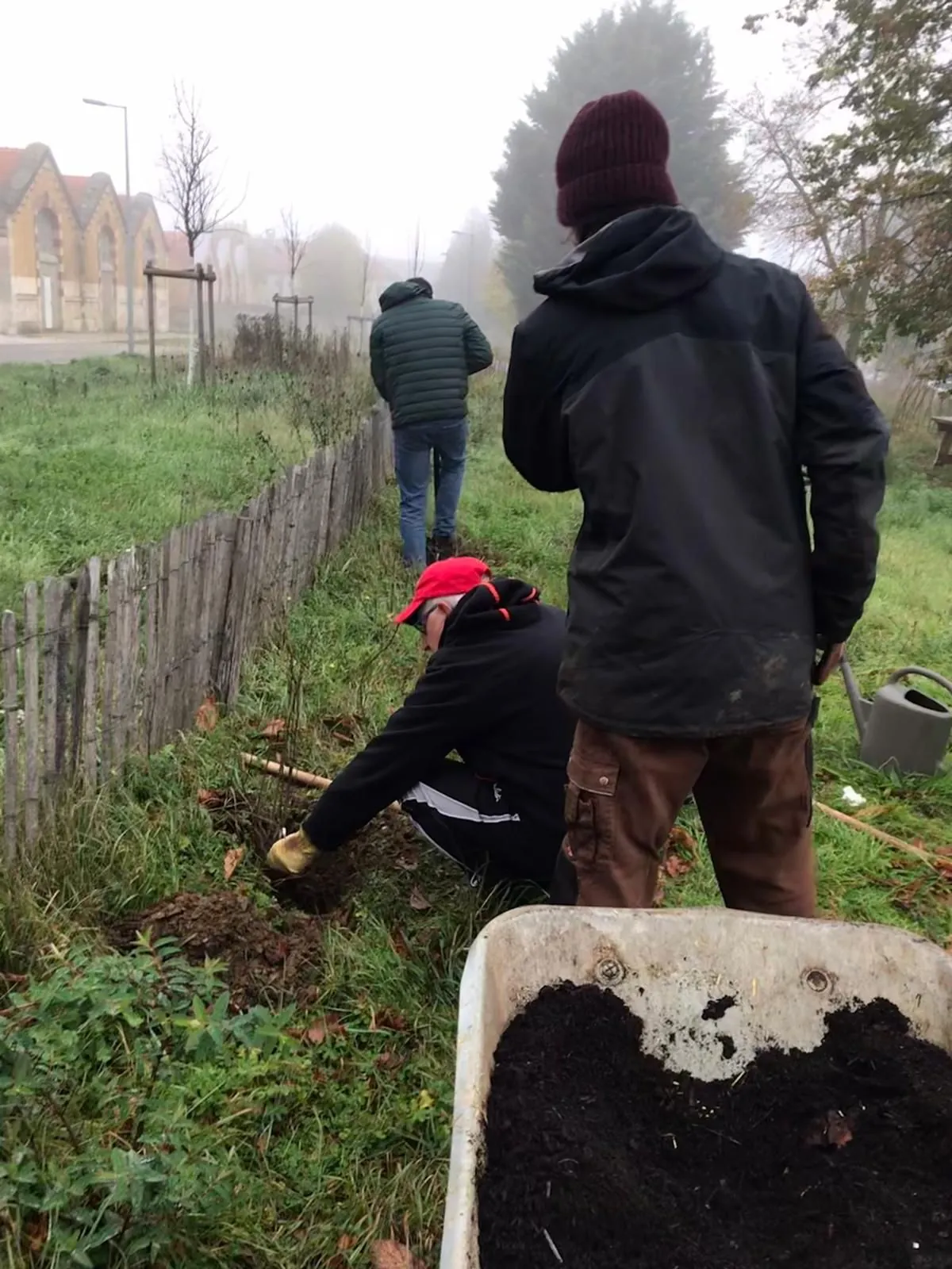 Plantation participative et citoyenne des arbres et haies du verger